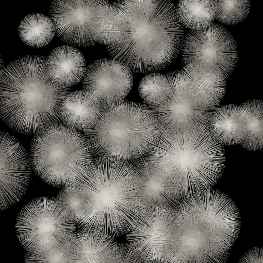 Silver Sunbursts art print by Abby Young for $57.95 CAD