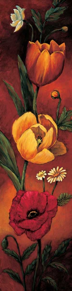 The Flower Garden II art print by Brian Francis for $57.95 CAD