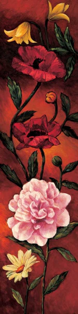The Flower Garden III art print by Brian Francis for $57.95 CAD