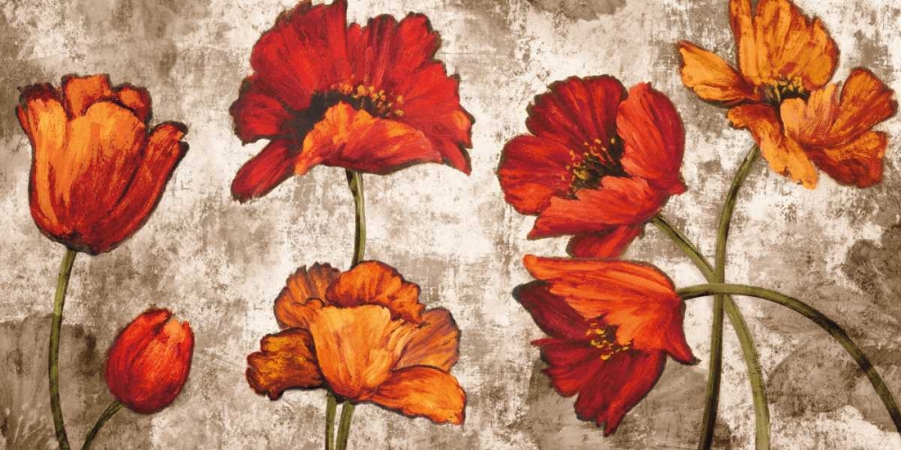Poppy Paradise art print by Brian Francis for $57.95 CAD