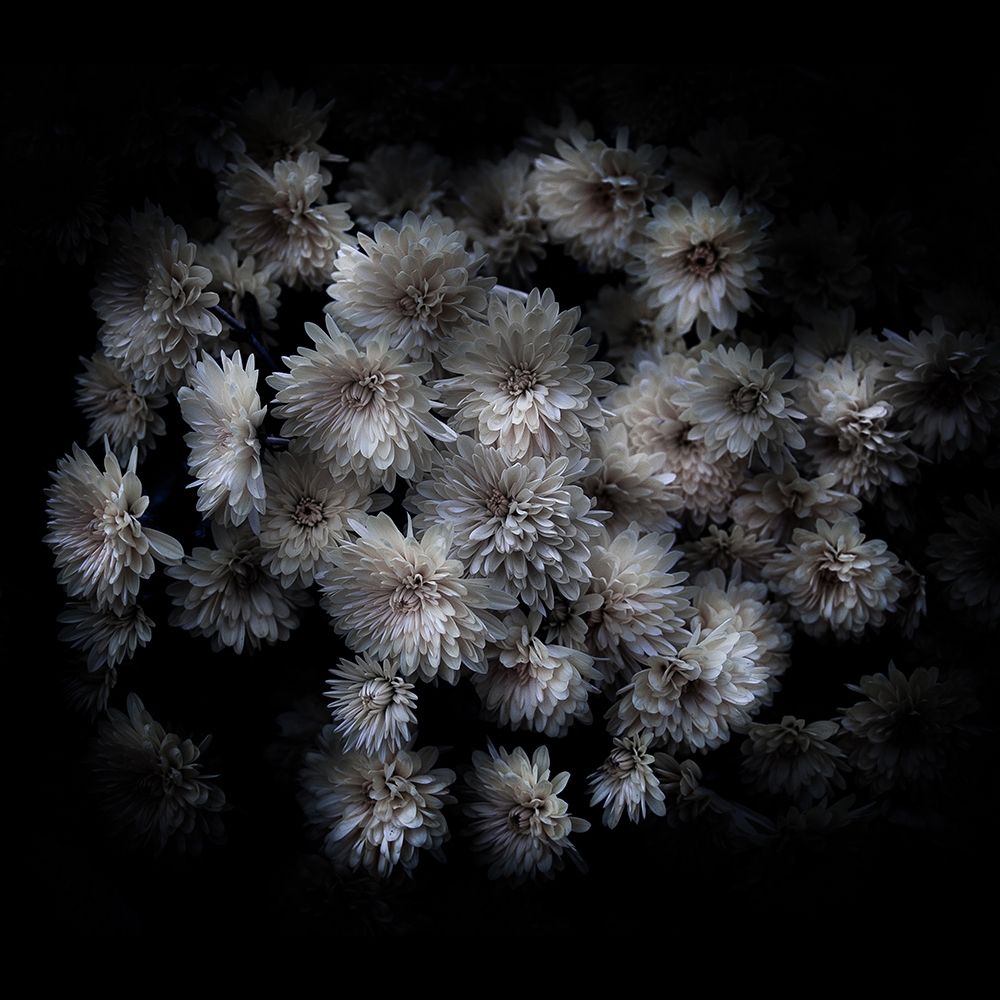 Mum Bouquet art print by Brian Carson for $57.95 CAD