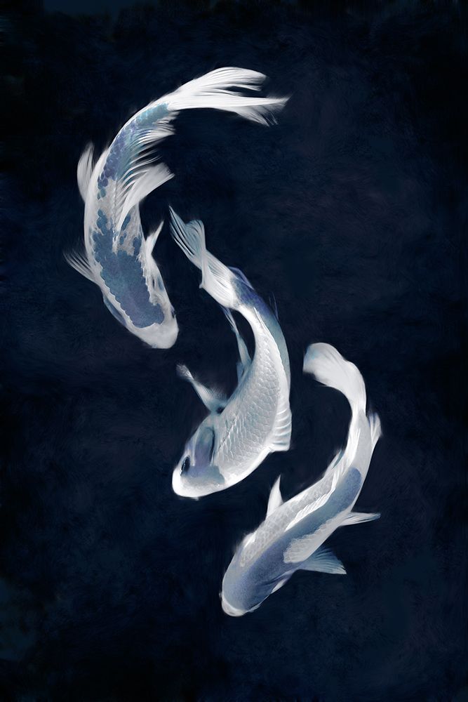Koi I art print by Madeline Blake for $57.95 CAD