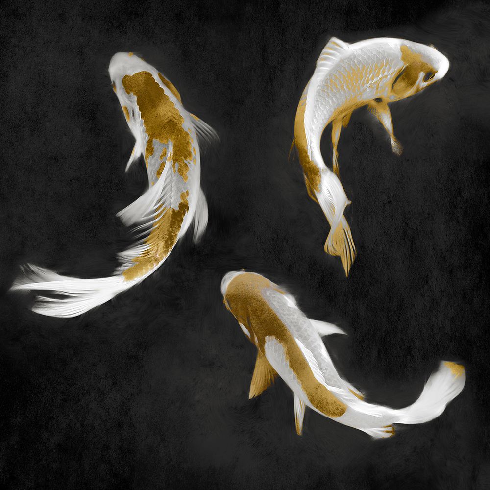 Koi Gold on Black I art print by Madeline Blake for $57.95 CAD