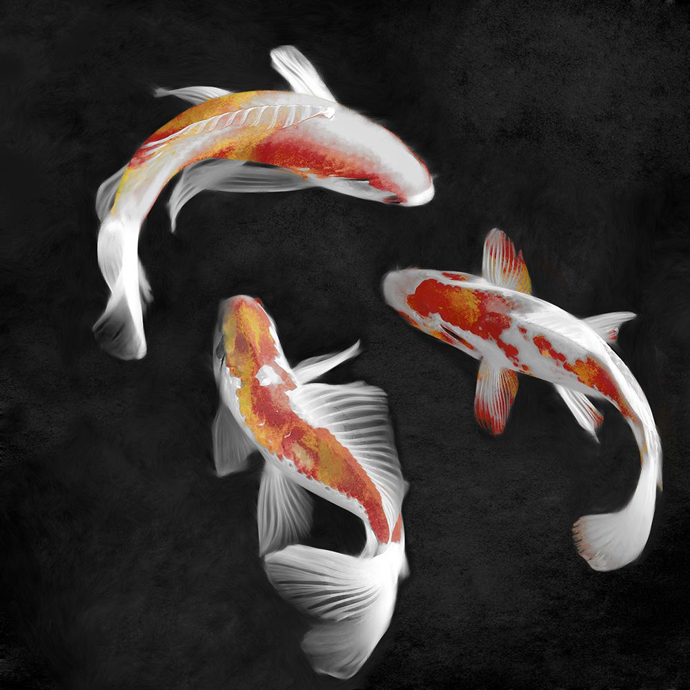 Koi on Black I art print by Madeline Blake for $57.95 CAD