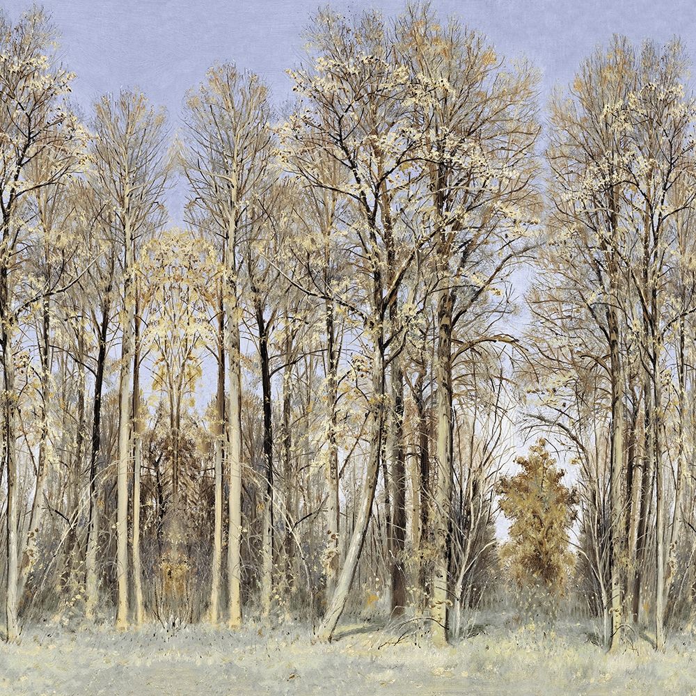Entrance to the Woods art print by Christy McKee for $57.95 CAD