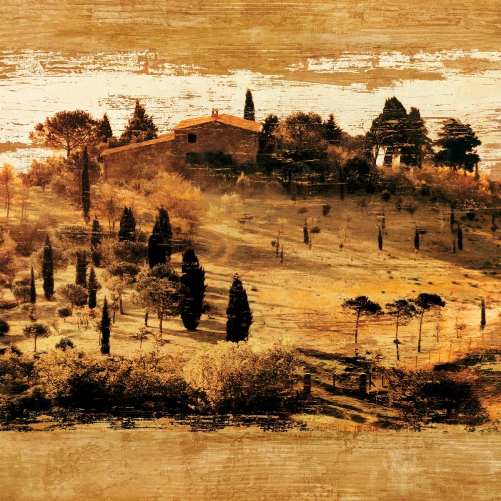 Tuscan Countryside II art print by Colin Floyd for $57.95 CAD
