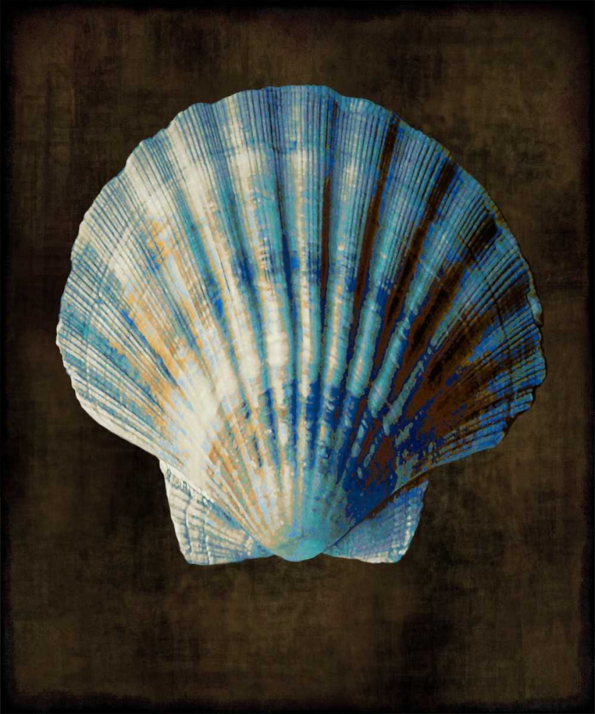Ocean Treasure II art print by Caroline Kelly for $57.95 CAD