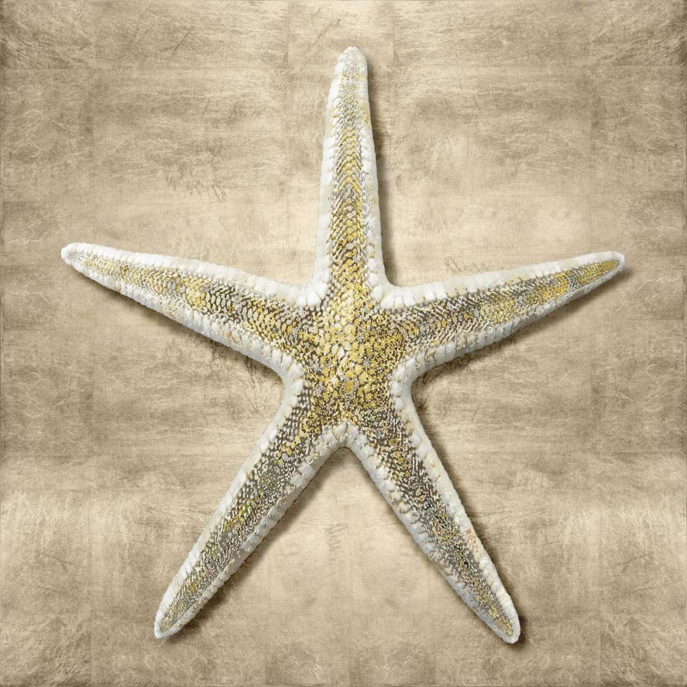 Golden Sea Life I art print by Caroline Kelly for $57.95 CAD