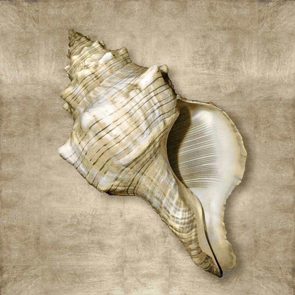 Golden Sea Life III art print by Caroline Kelly for $57.95 CAD