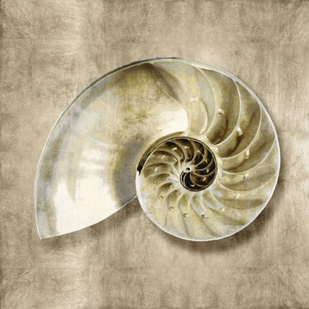 Golden Sea Life IV art print by Caroline Kelly for $57.95 CAD