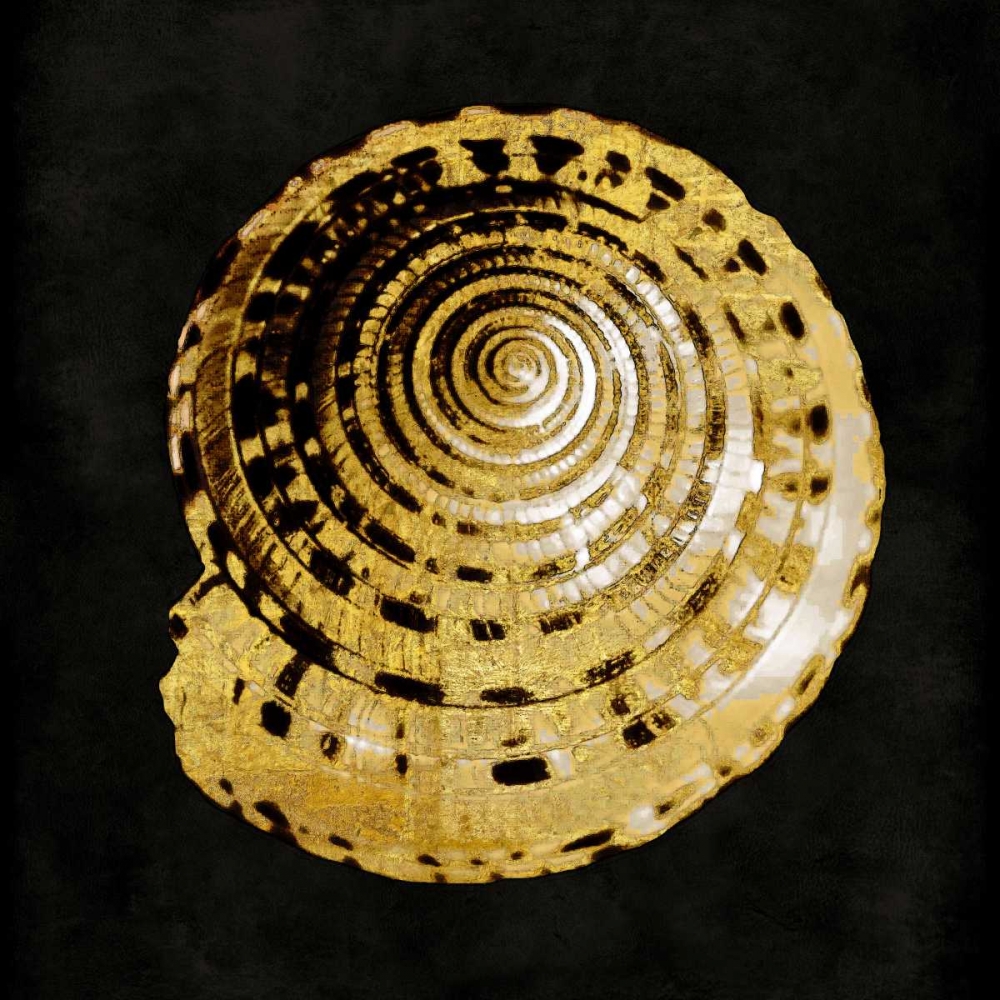 Golden Ocean Gems IV art print by Caroline Kelly for $57.95 CAD