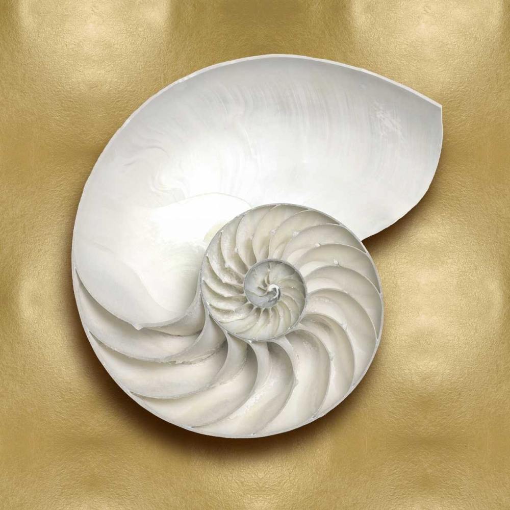 Ocean Gem on Gold II art print by Caroline Kelly for $57.95 CAD