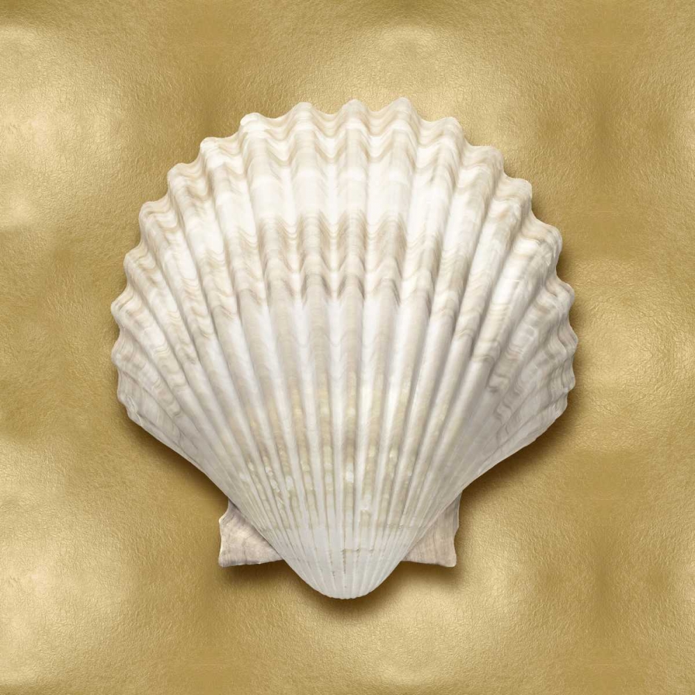 Ocean Gem on Gold IV art print by Caroline Kelly for $57.95 CAD
