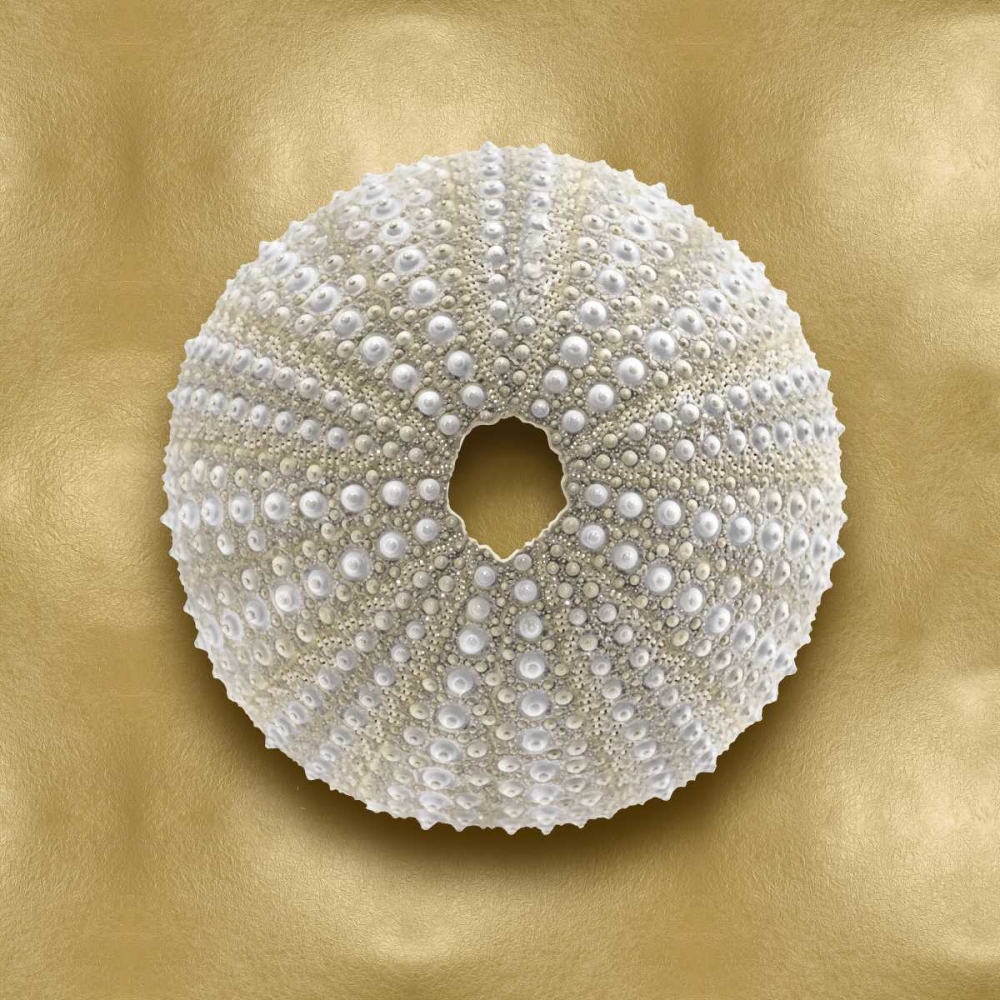 Ocean Gem on Gold V art print by Caroline Kelly for $57.95 CAD