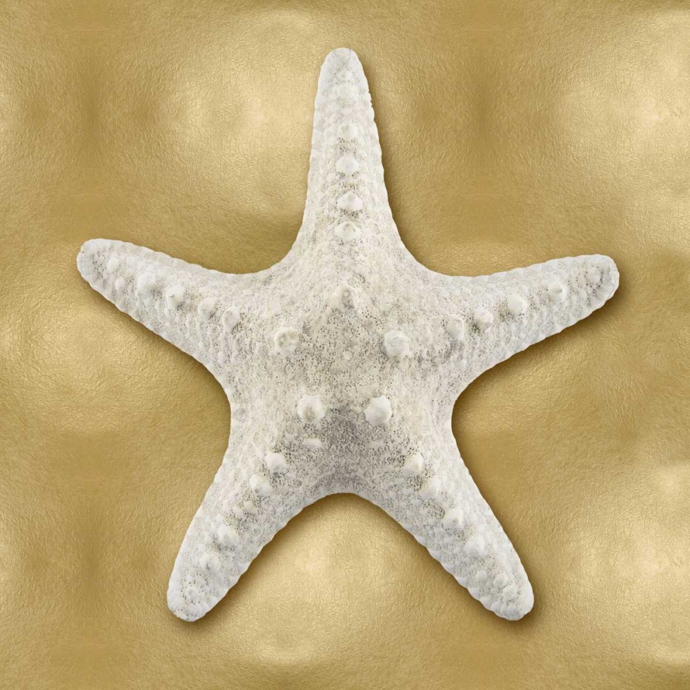 Ocean Gem on Gold VI art print by Caroline Kelly for $57.95 CAD