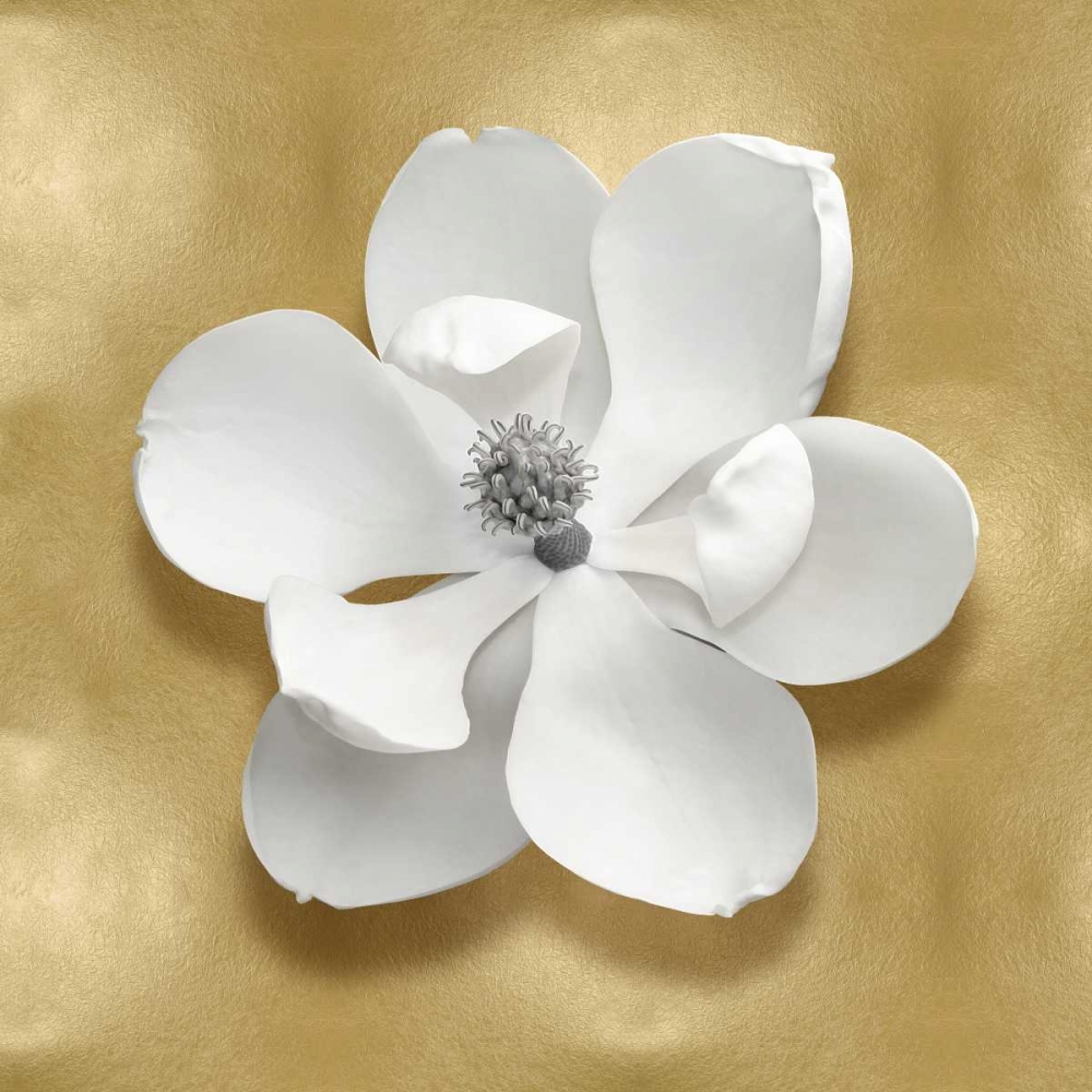 Pure I art print by Caroline Kelly for $57.95 CAD