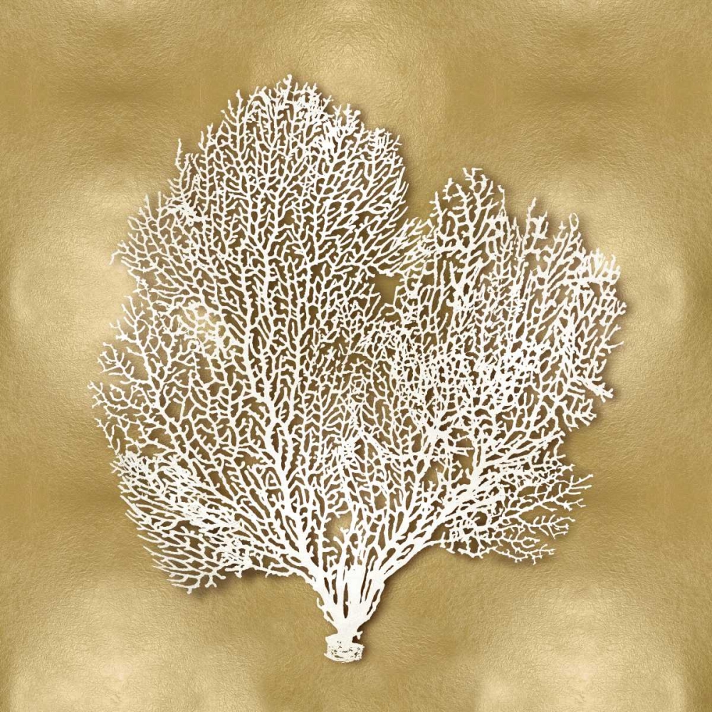 Sea Fan on Gold II art print by Caroline Kelly for $57.95 CAD