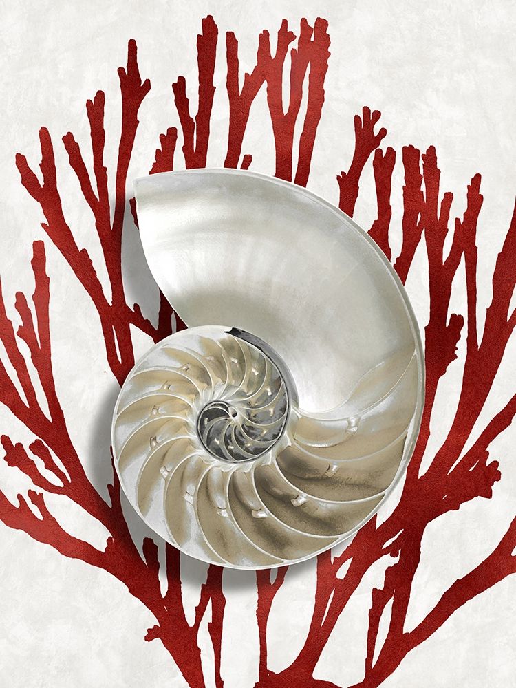Shell Coral Red II art print by Caroline Kelly for $57.95 CAD