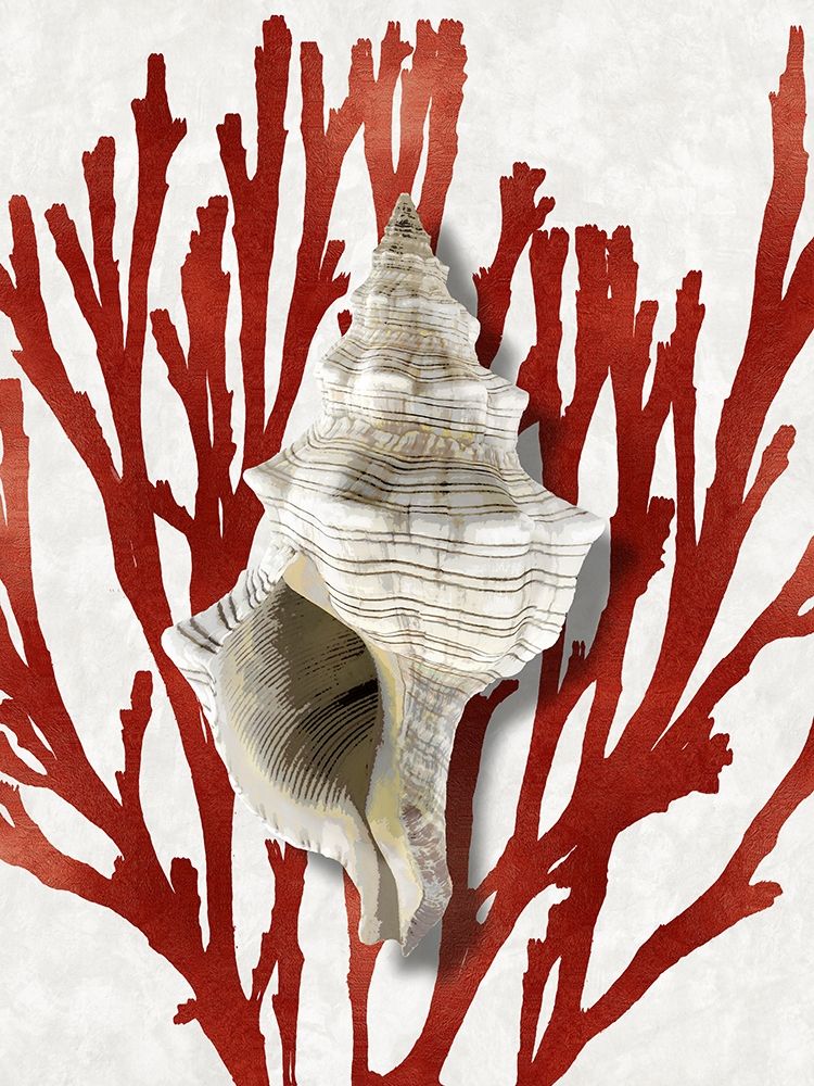 Shell Coral Red III art print by Caroline Kelly for $57.95 CAD