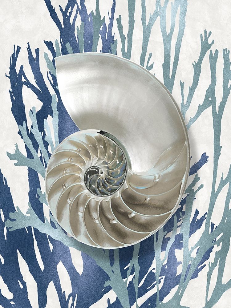 Shell Coral Aqua Blue II art print by Caroline Kelly for $57.95 CAD