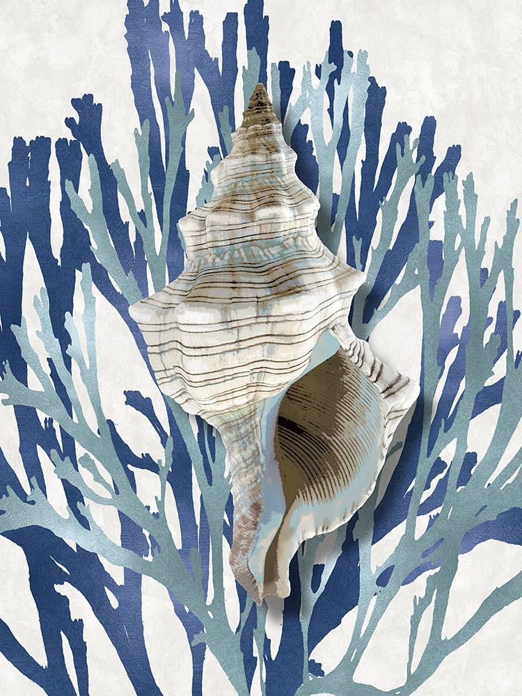 Shell Coral Aqua Blue III art print by Caroline Kelly for $57.95 CAD
