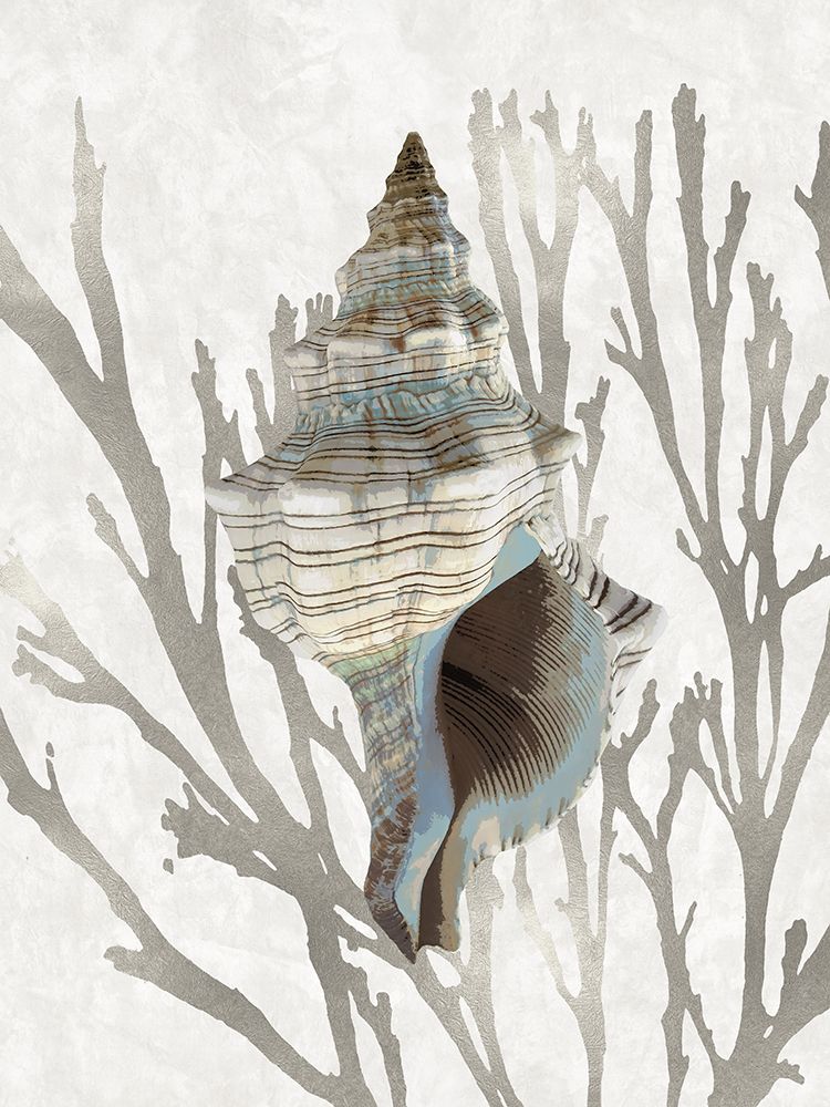 Shell Coral Silver III art print by Caroline Kelly for $57.95 CAD