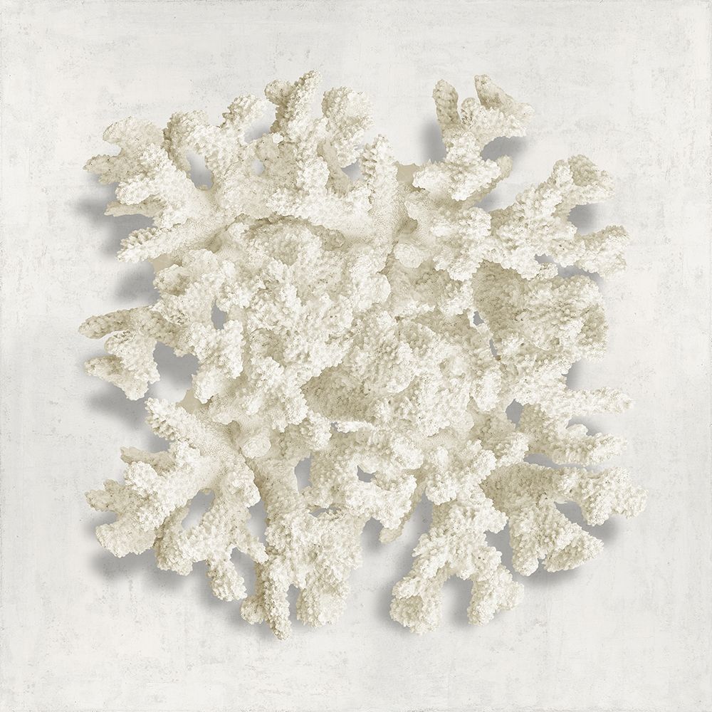 Coral II art print by Caroline Kelly for $57.95 CAD