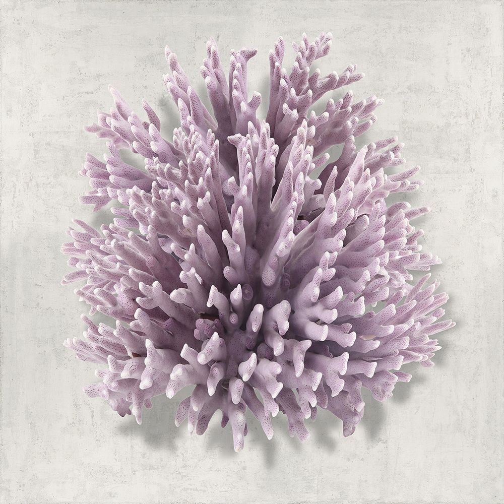 Coral Amethyst I art print by Caroline Kelly for $57.95 CAD