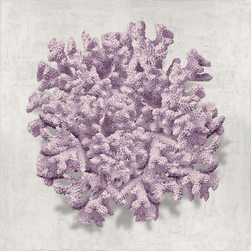 Coral Amethyst II art print by Caroline Kelly for $57.95 CAD