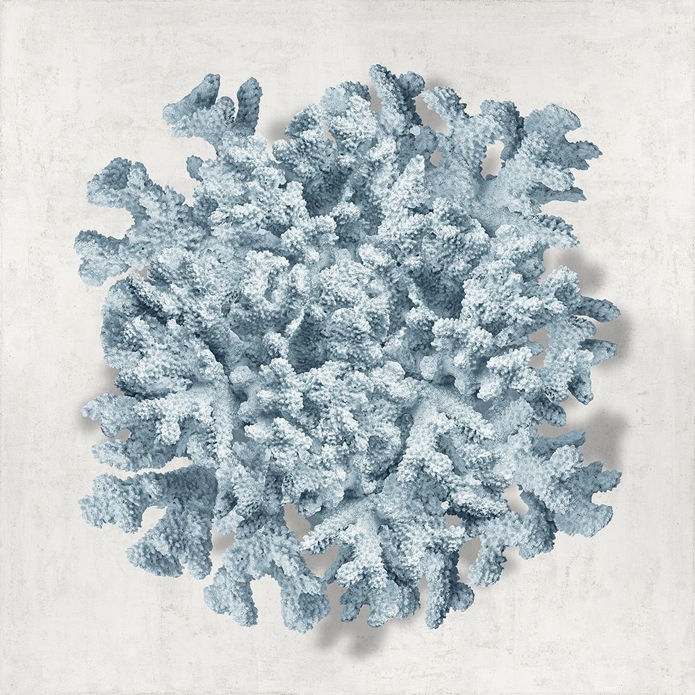 Coral Blue II art print by Caroline Kelly for $57.95 CAD