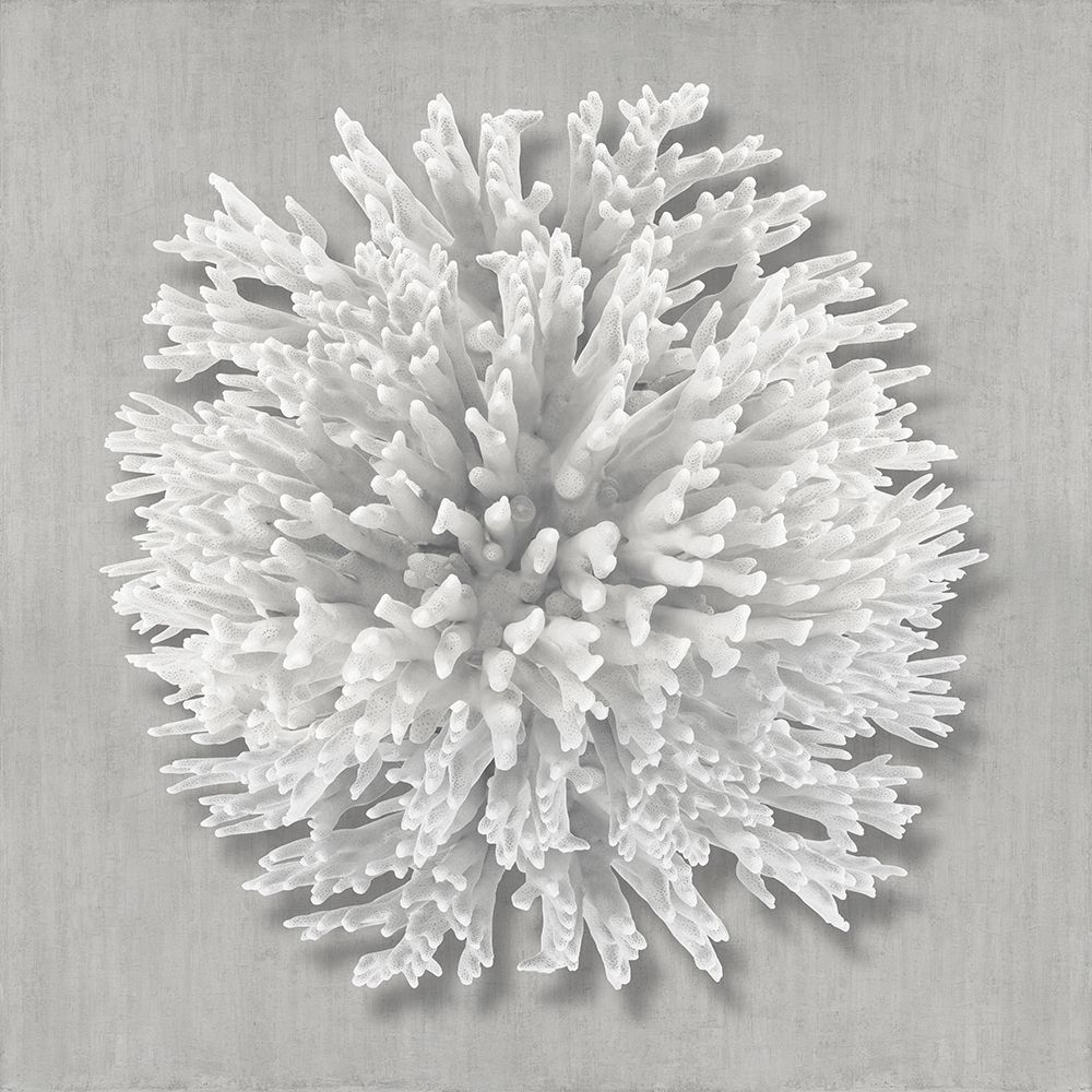 Coral on Gray I art print by Caroline Kelly for $57.95 CAD