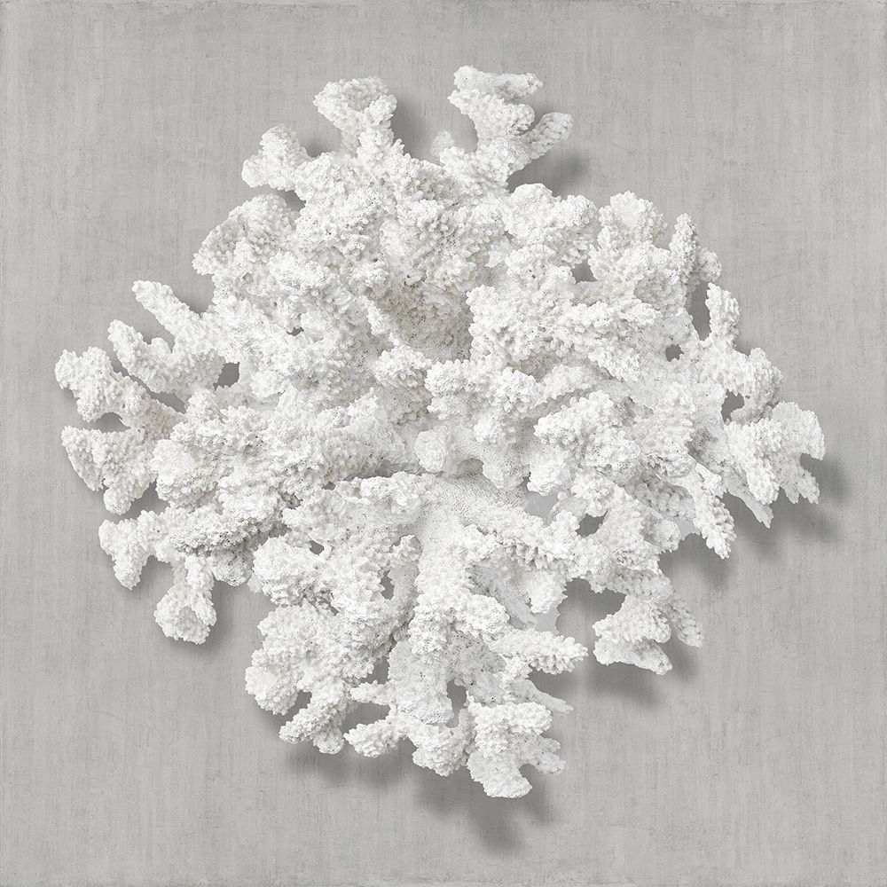 Coral on Gray II art print by Caroline Kelly for $57.95 CAD