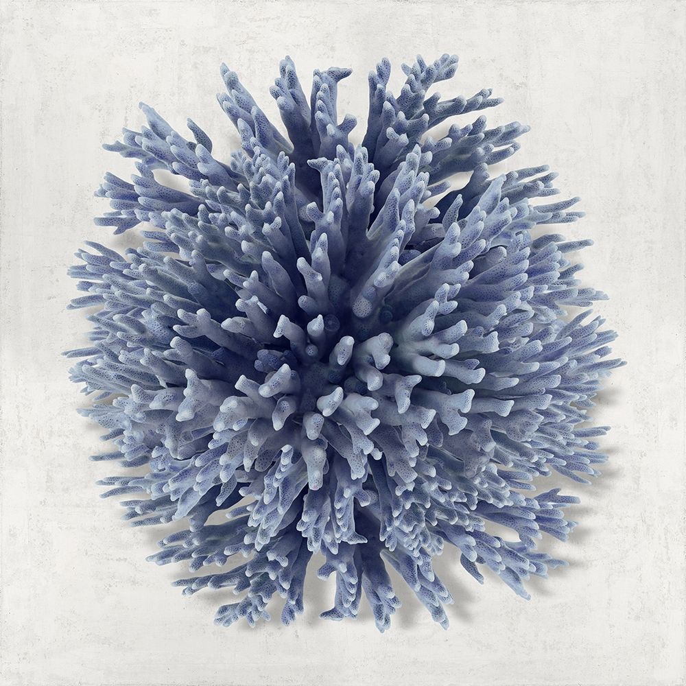 Coral Indigo I art print by Caroline Kelly for $57.95 CAD