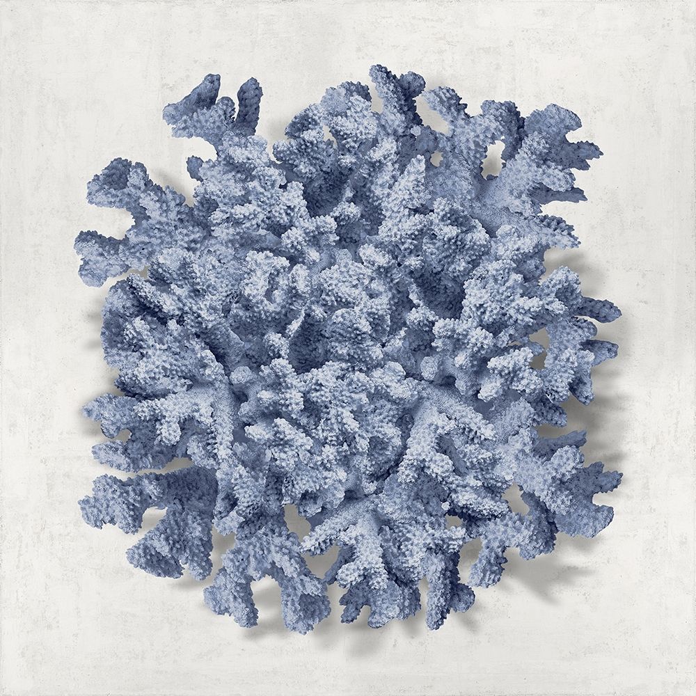 Coral Indigo II art print by Caroline Kelly for $57.95 CAD