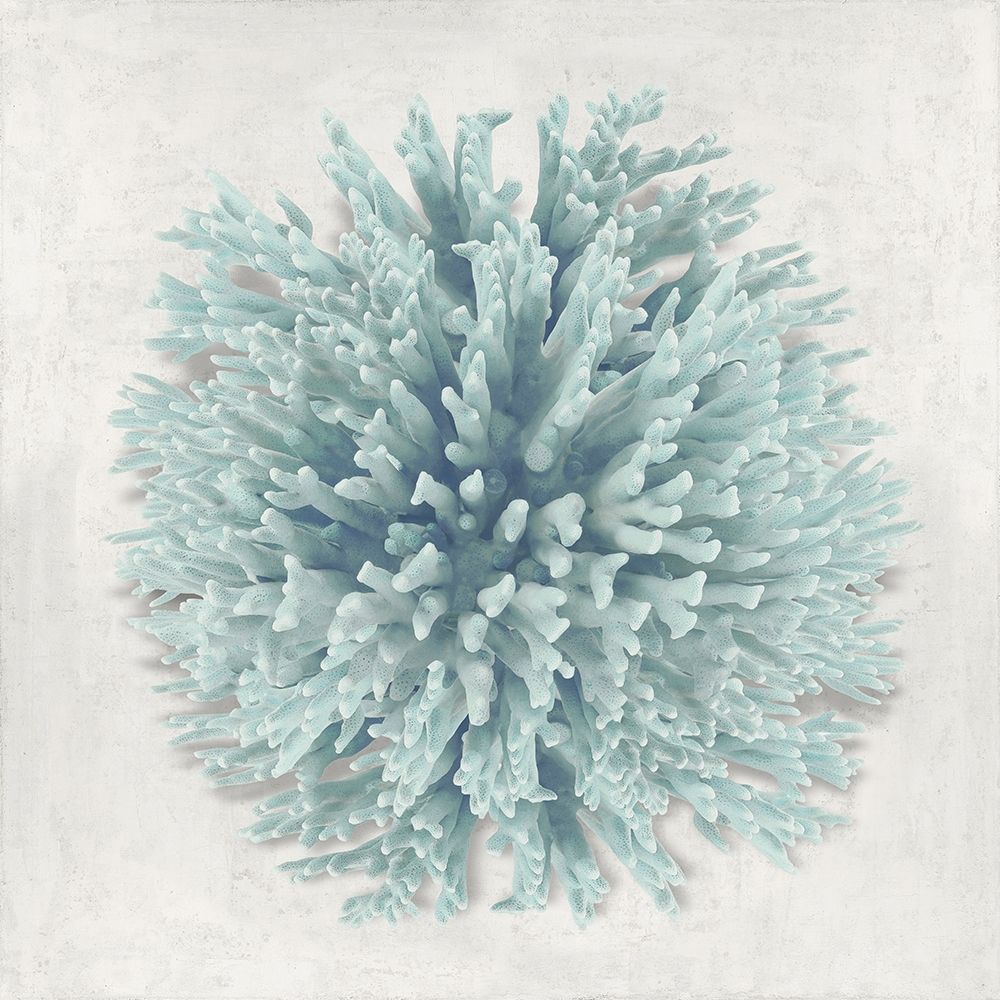 Coral Mint I art print by Caroline Kelly for $57.95 CAD