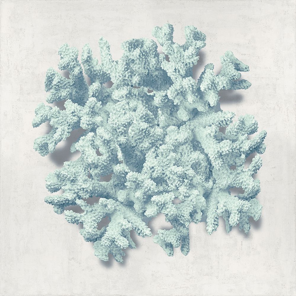 Coral Mint II art print by Caroline Kelly for $57.95 CAD