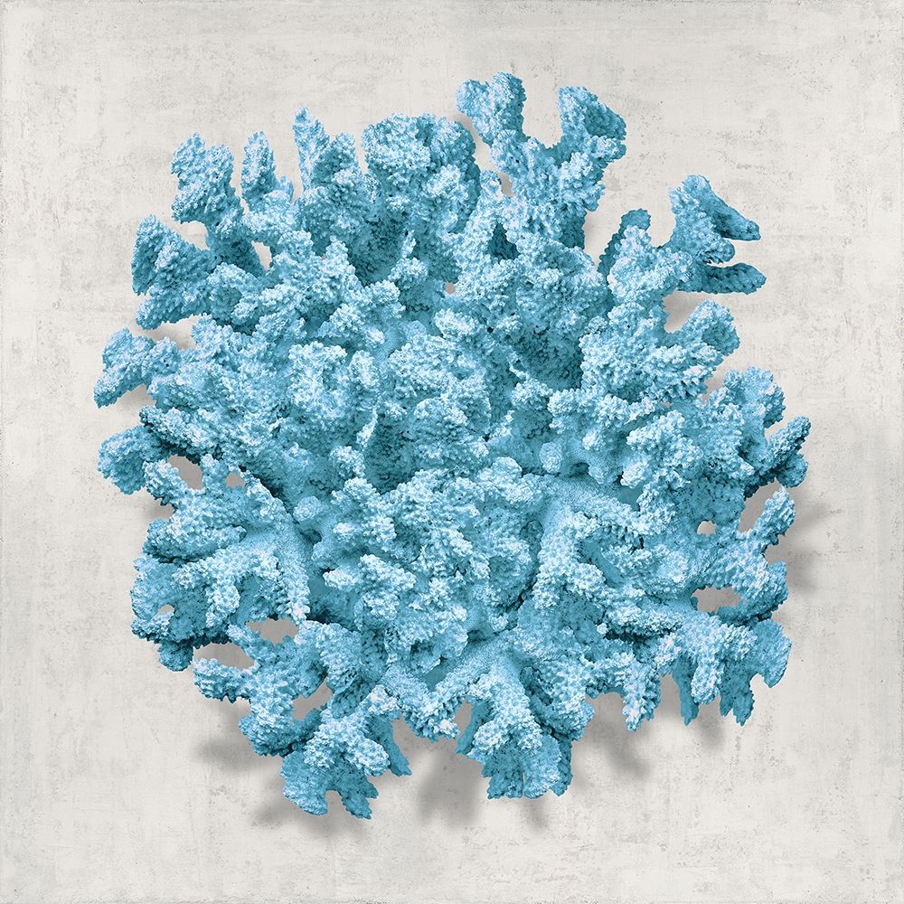 Coral Aqua II art print by Caroline Kelly for $57.95 CAD