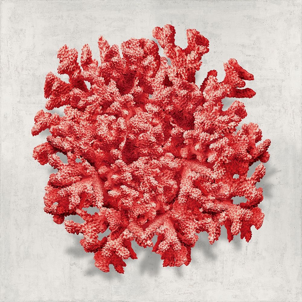 Coral Red II art print by Caroline Kelly for $57.95 CAD