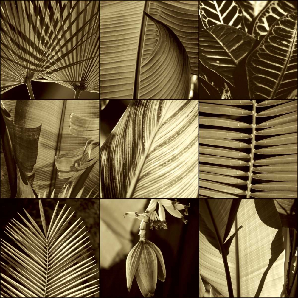 Tropical Leaves I art print by Caroline Kelly for $57.95 CAD