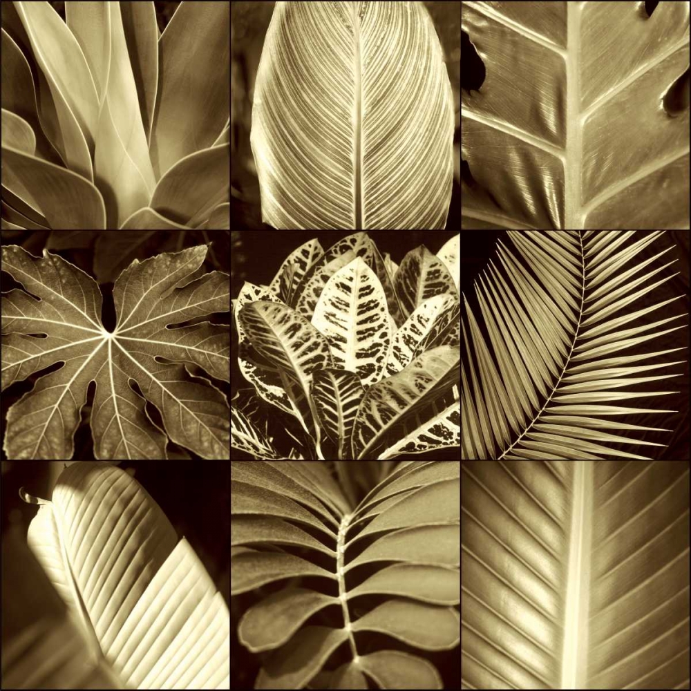 Tropical Leaves II art print by Caroline Kelly for $57.95 CAD