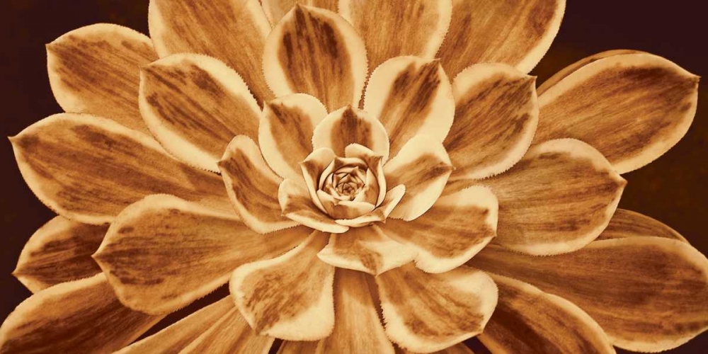 Sedona art print by Caroline Kelly for $57.95 CAD
