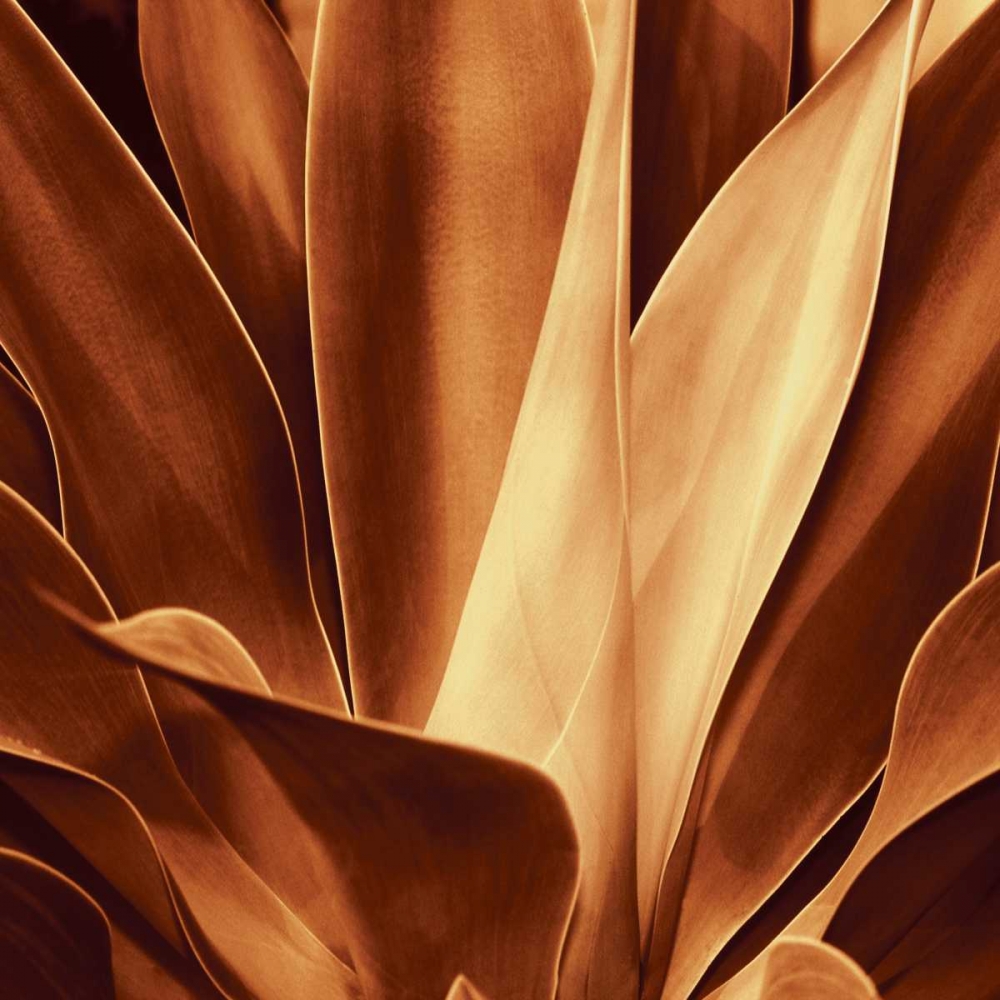Santa Fe I art print by Caroline Kelly for $57.95 CAD