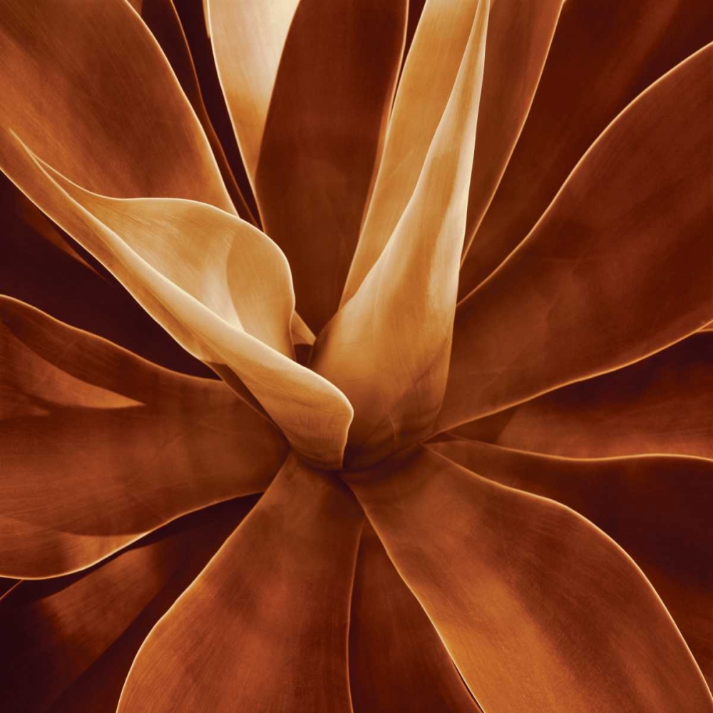 Santa Fe II art print by Caroline Kelly for $57.95 CAD