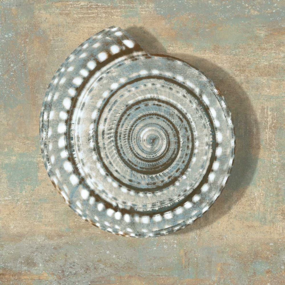 Aqua Seashell art print by Caroline Kelly for $57.95 CAD