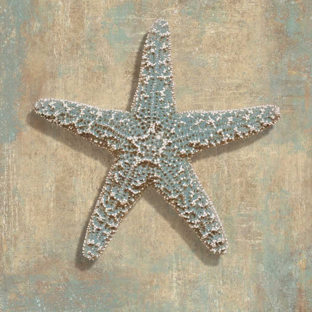 Aqua Starfish art print by Caroline Kelly for $57.95 CAD