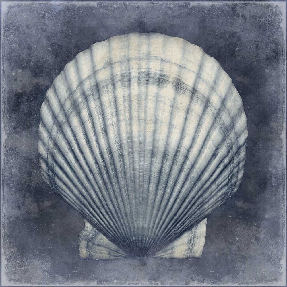 Ocean Blue II art print by Caroline Kelly for $57.95 CAD