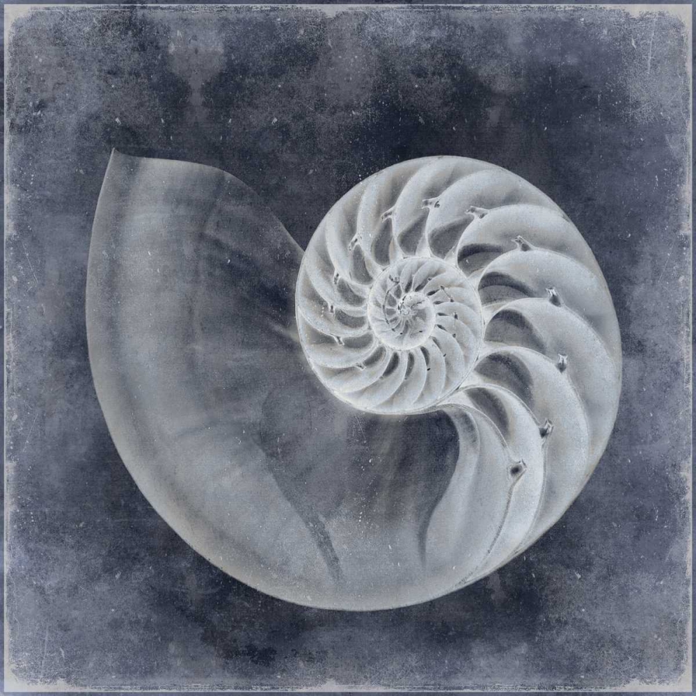 Ocean Blue IV art print by Caroline Kelly for $57.95 CAD