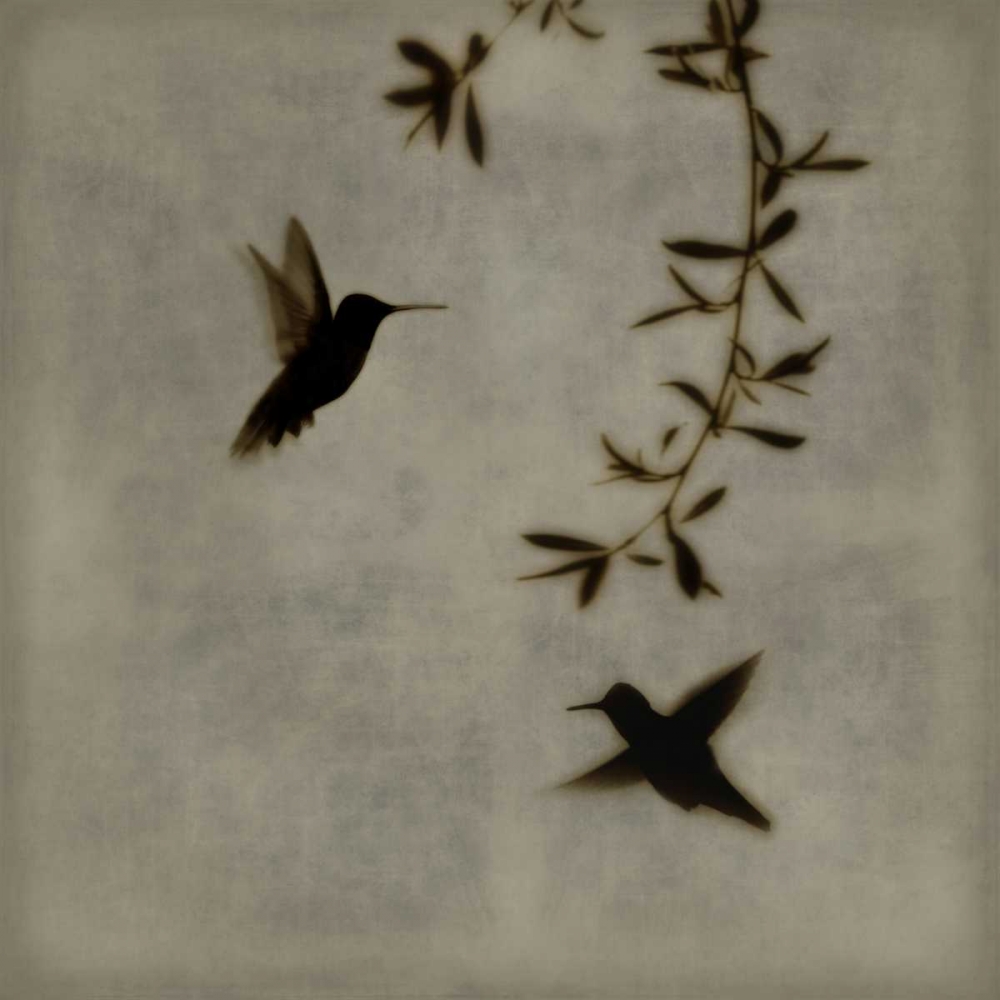 Dance in Flight I art print by Chris Donovan for $57.95 CAD