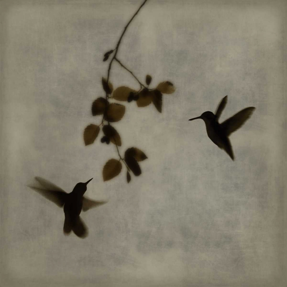 Dance in Flight II art print by Chris Donovan for $57.95 CAD