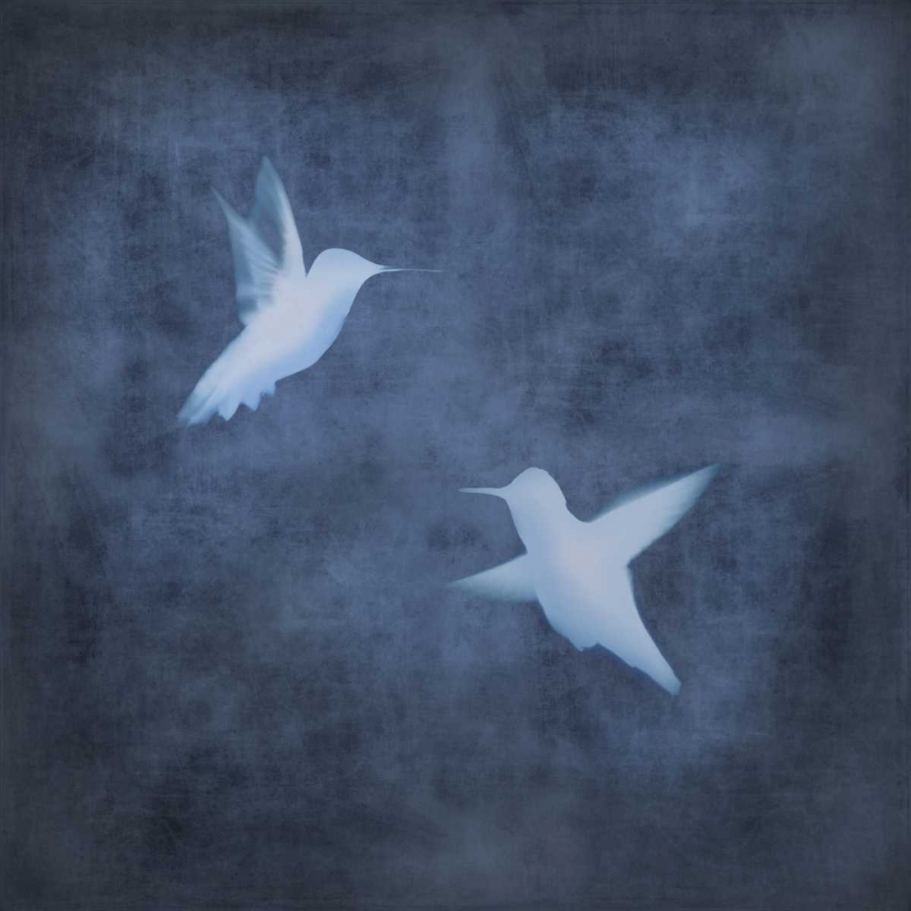 Flight in Blue II art print by Chris Donovan for $57.95 CAD